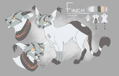 Finch - Jan 2019 ref by Finchwing