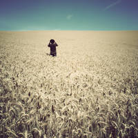 field of wheeeat by nick-d