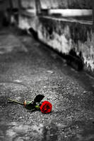 left there by iqbalnugraha