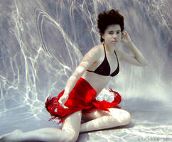 c o l o r by Camaryn