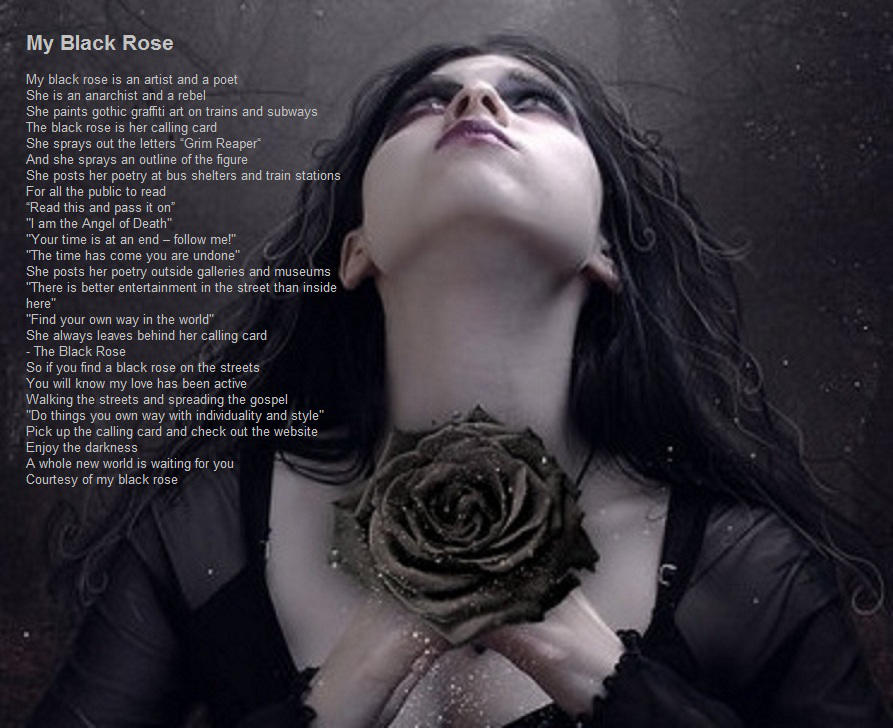 My Black Rose by demonrobber