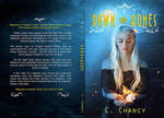 Book cover - A Net of Dawn and Bones by C. Chancy by CathleenTarawhiti
