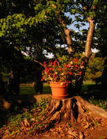 october's spell by evilsquirrel2012