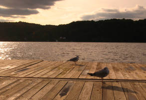 the hudson aire brigade by evilsquirrel2012