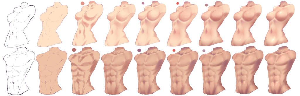 How I paint Torso - Female and Male by rika-dono