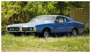 A Cool Dodge Sitting In The Weeds by TheMan268