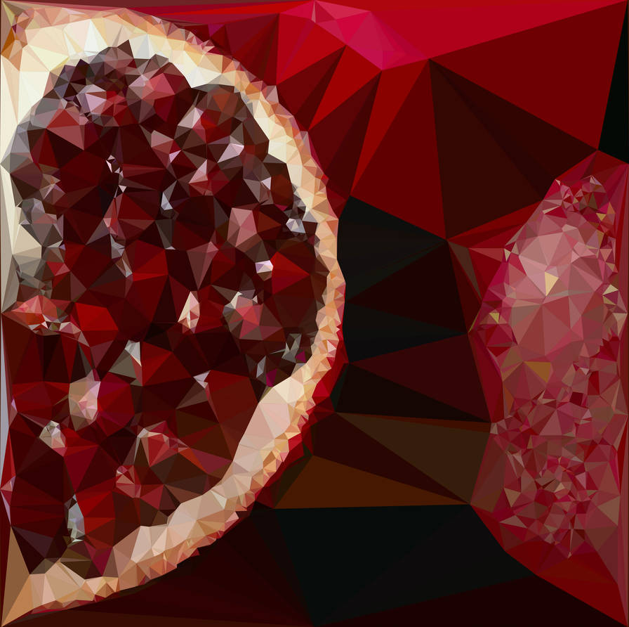 Abstract Art : Fruits : Pomegranate by kenkchow