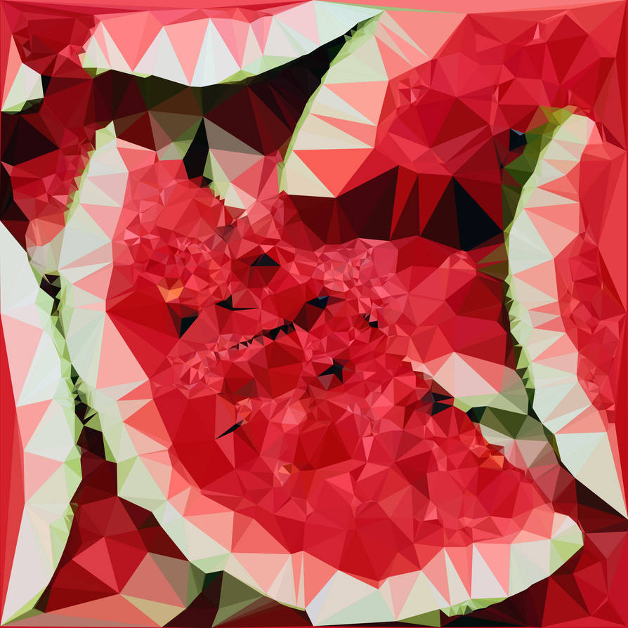 Abstract Art : Fruits : Watermelon by kenkchow