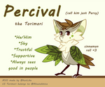 Percival (Percy) ref (MYO Torimori) by KetLike