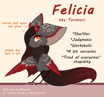 Felicia ref (MYO Torimori) by KetLike