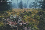 Fog by Dybcio
