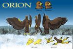 Fursona Ref Sheet (Orion) by LucasVN