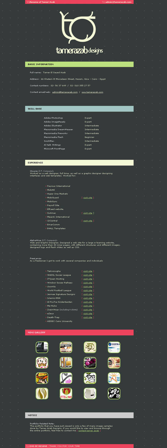 TamerAzab: Resume by t4m3r