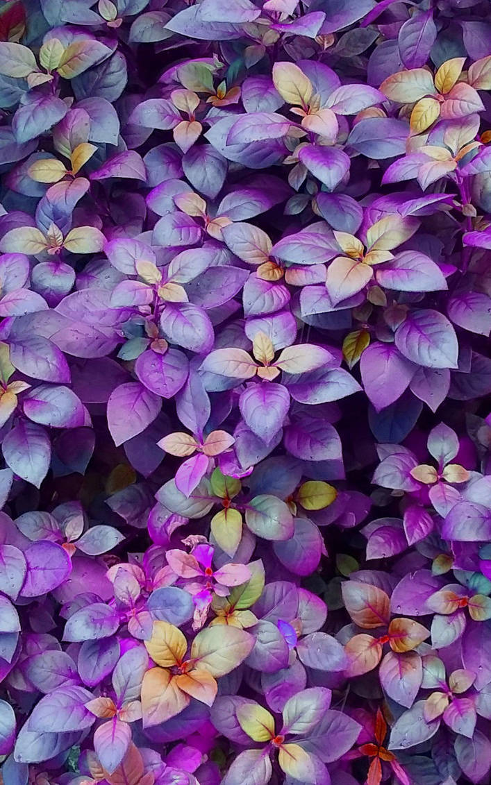 |F2U| Purple Leaves Custom Background by RariDecor on DeviantArt
