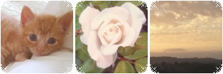 [Image: dcsbu43-3f04f061-9549-406c-b15b-0284d4226721.png]