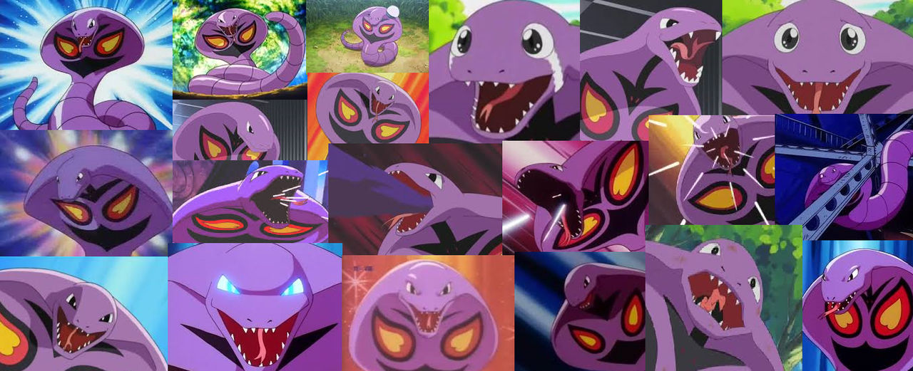 Arbok collage by arvinsharifzadeh on DeviantArt