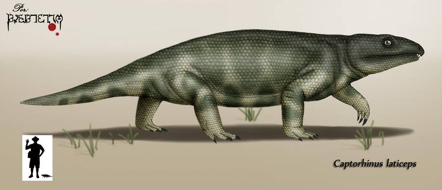 Captorhinus laticeps by karkemish00