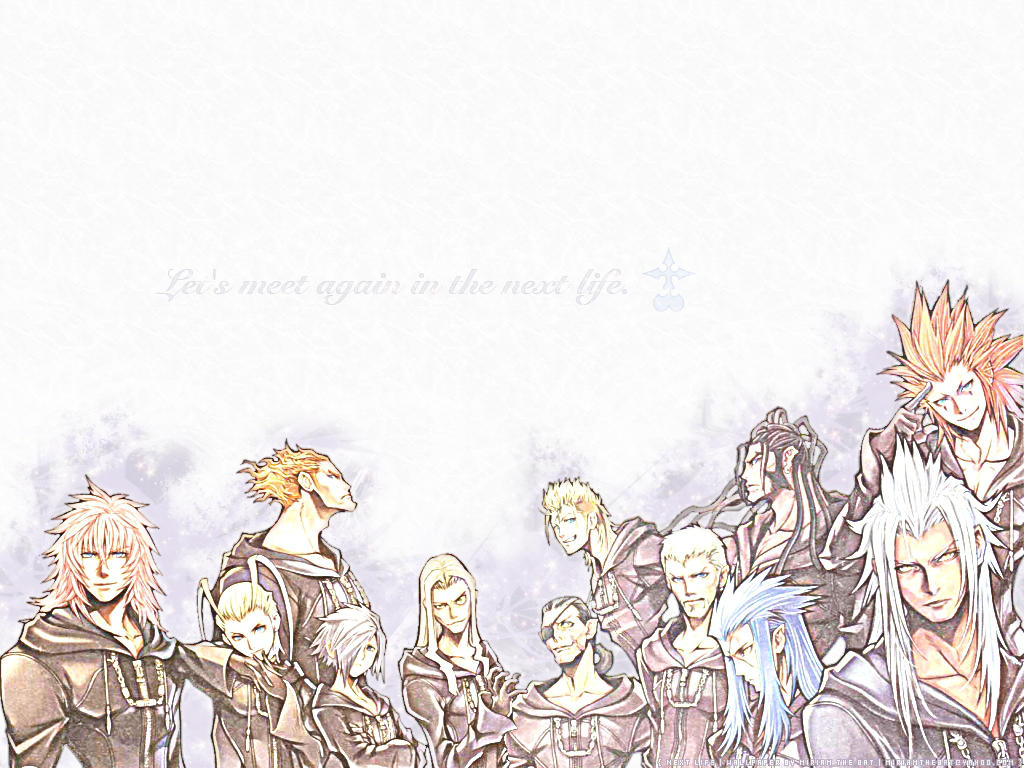Next Life - Organization XIII by MiriamTheBat