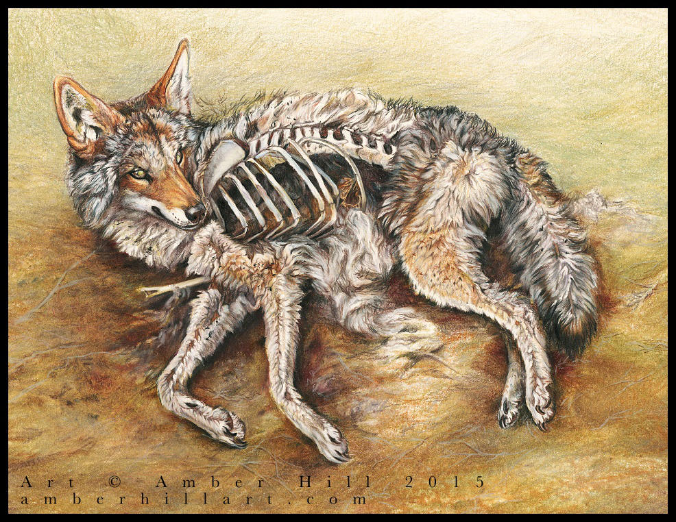 Coyote Resurrection by vantid