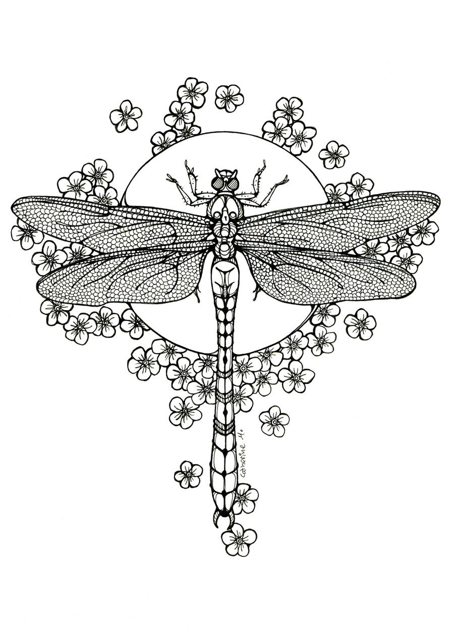 Dragonfly - lineart by CathM