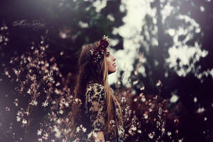 P a r a d i s e III by HopesOnAir