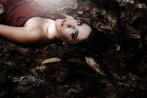 Night turns to day by HopesOnAir