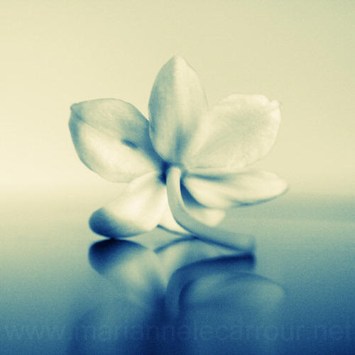 Unfold Me by Aiae