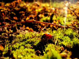 gargaritaa by TTiTTu