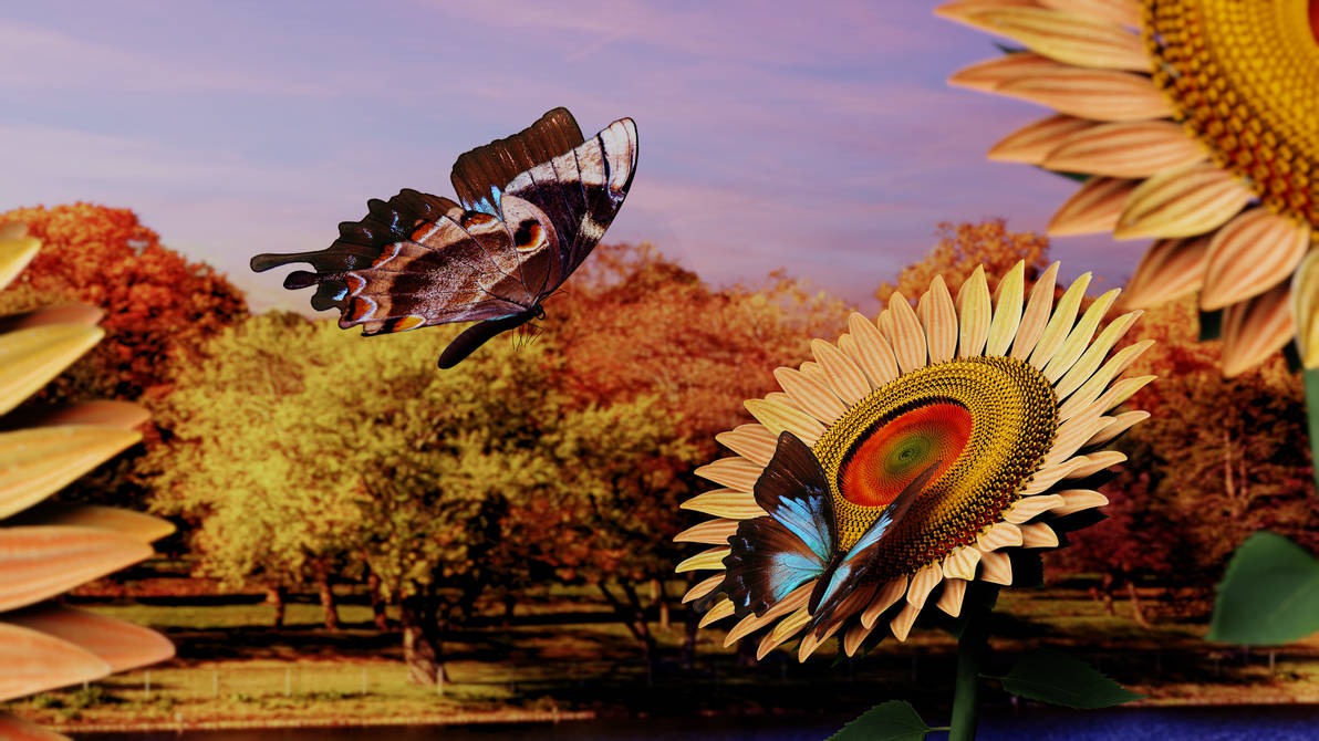 Sunflowers and Butterflies by Bahr3DCG
