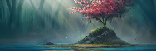 Cherry Blossom by TomPrante