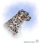 Snow Leopard Painting by KatGirlStudio
