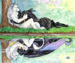 Reflecting Love by Goldenwolf