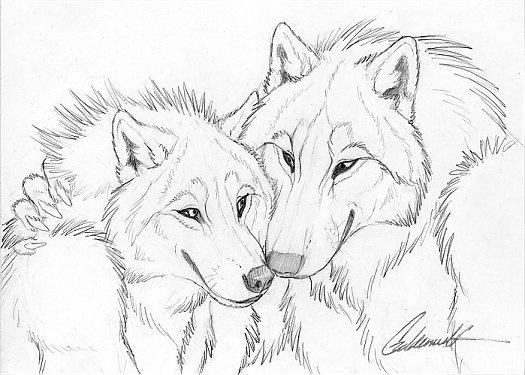 Cuddly Couples - Wolves02 by Goldenwolf
