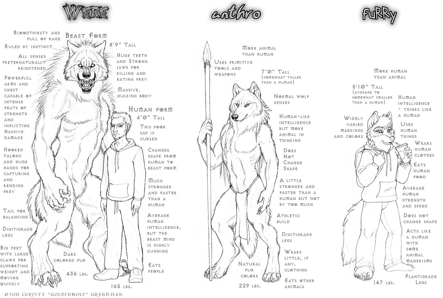 My Definitions by Goldenwolf