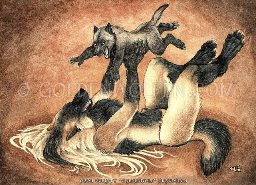 Play Time by Goldenwolf