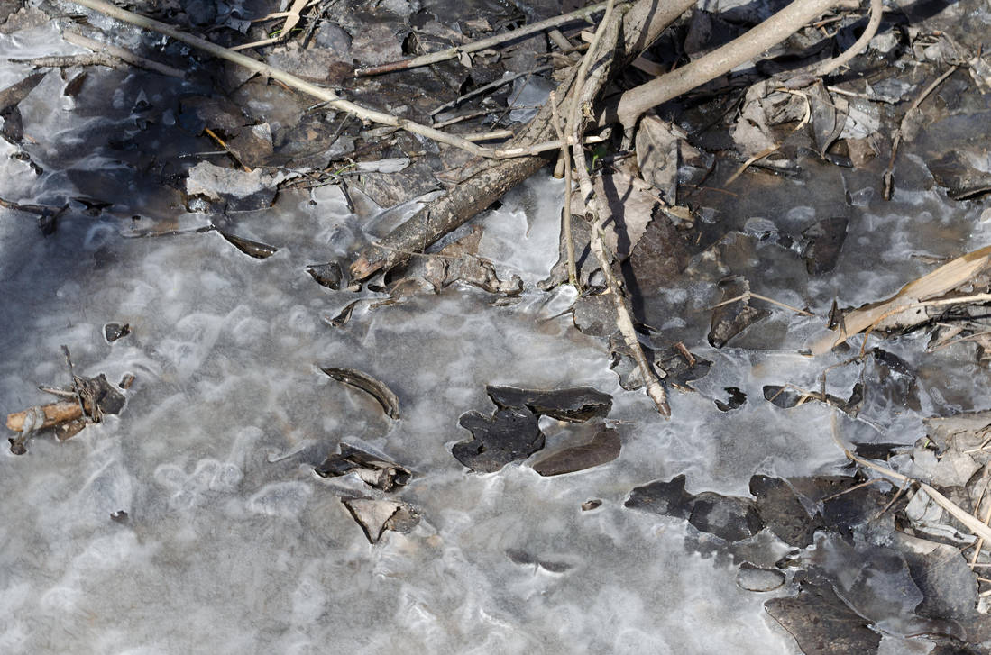 Frozen Ground Closeup (Stock) by SabrinaFranek on DeviantArt