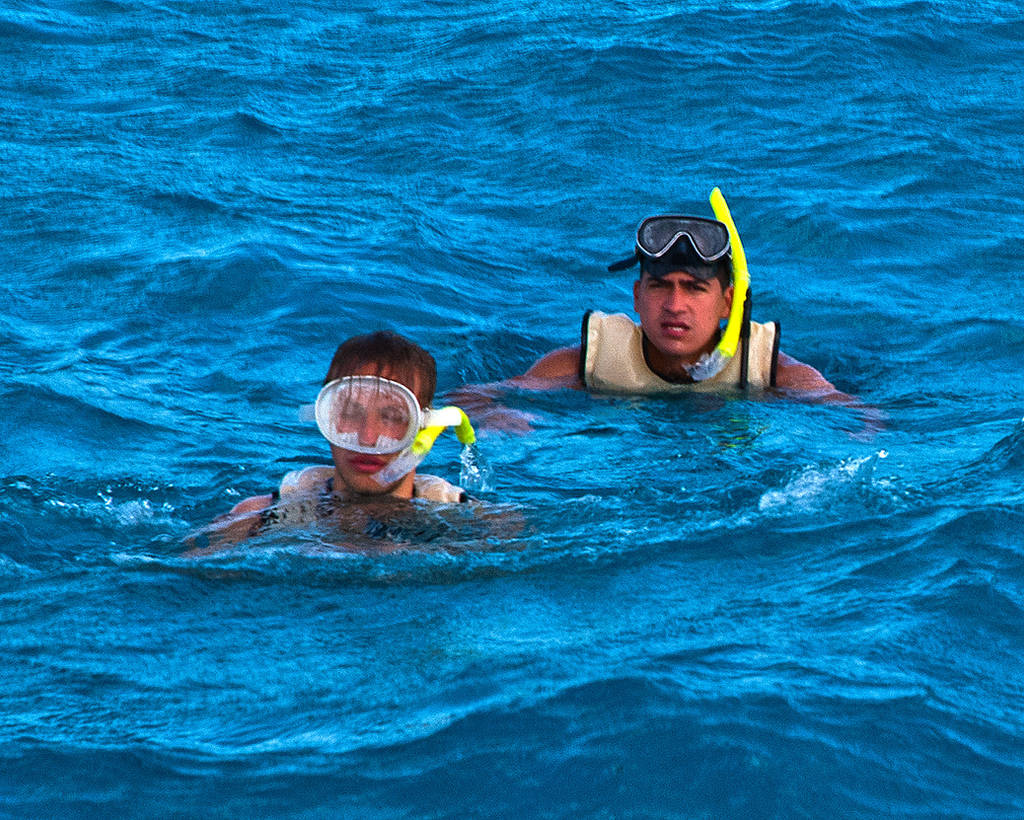 Two Belgians Snorkeling by quintmckown
