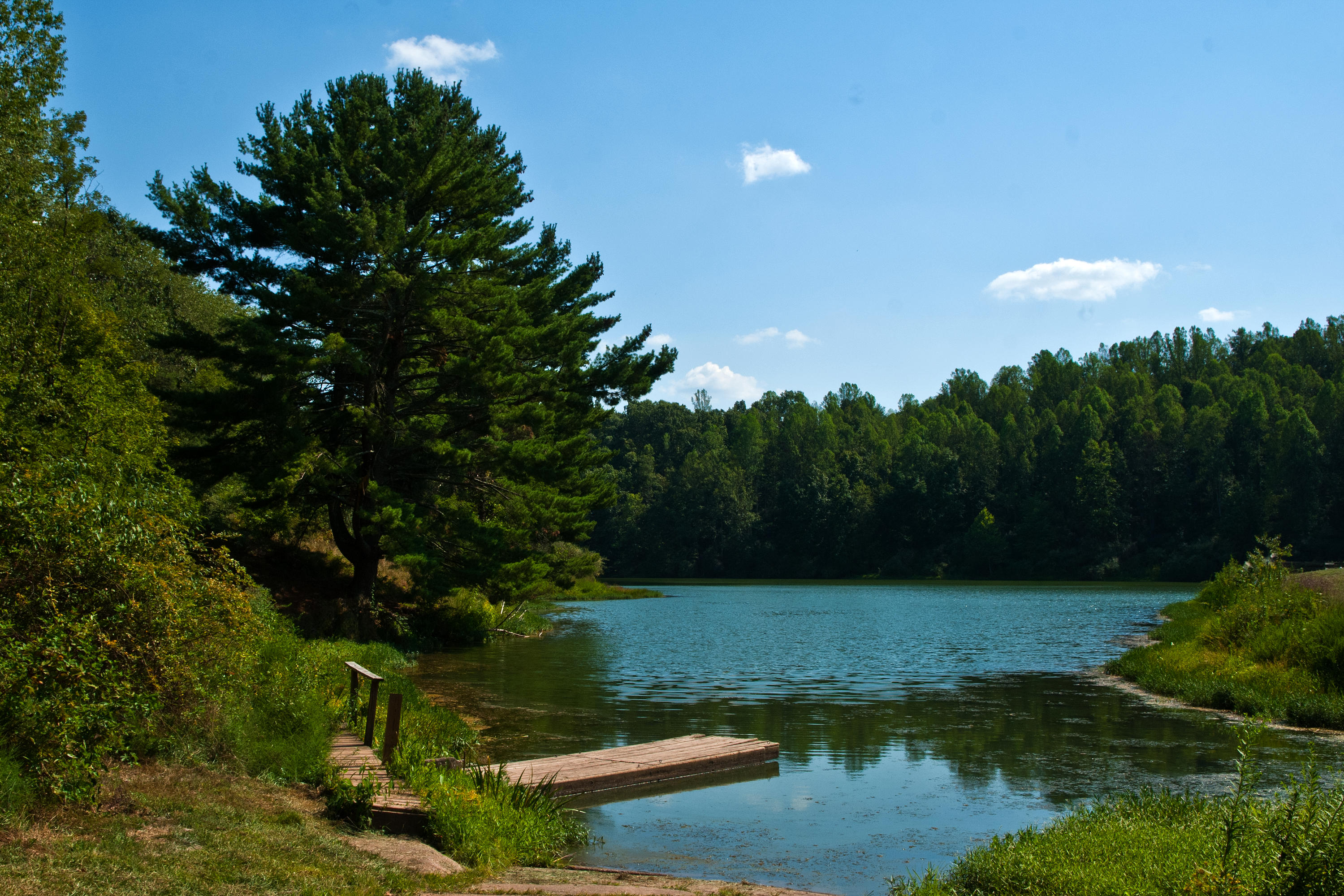 Conaway Run Lake WMA by quintmckown