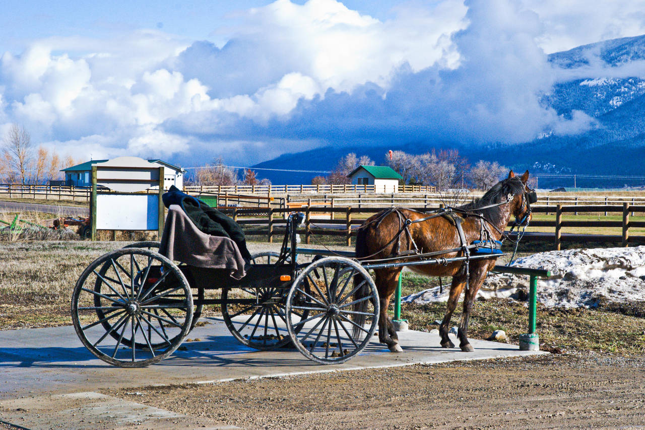Montana Amish by quintmckown