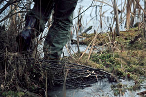 swamp walk by cienwemgle