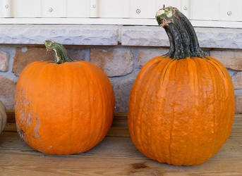 Pumpkins 4 by Rhabwar-Troll-stock