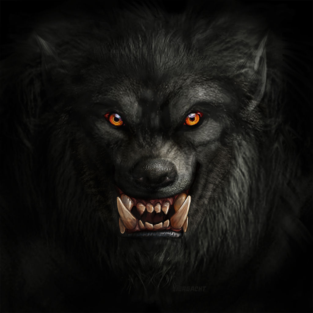 Werewolf stock by Rhabwar-Troll-stock