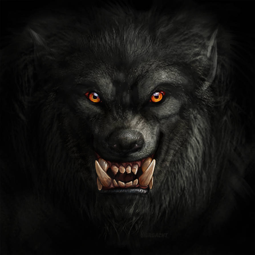 Werewolf stock by Rhabwar-Troll-stock