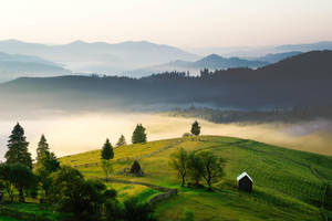 Nature wakes up by AMMozart Nature wakes up by AMMozart