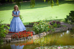 Alice in WonderLand by lilie-morhiril