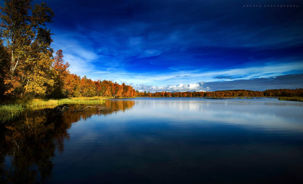 Autumn Blues by BoholmPhotography