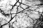 Decay by augenweide