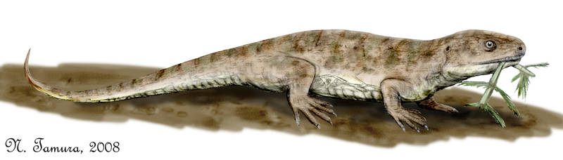 Captorhinus by NTamura