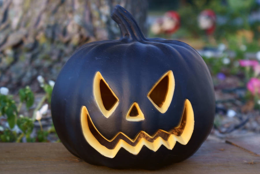 Black Pumpkin stock by TheKaykat-Stock