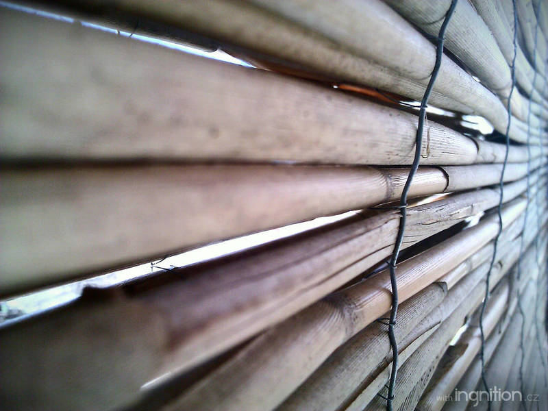 Bamboo - March 2012 by Ingnition